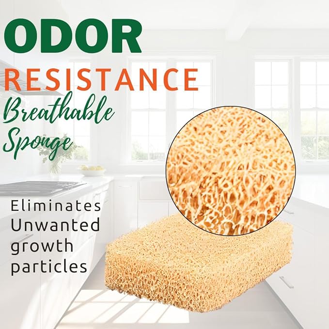 Peachy Clean Kitchen Scrubber Fragrance Free 3pk