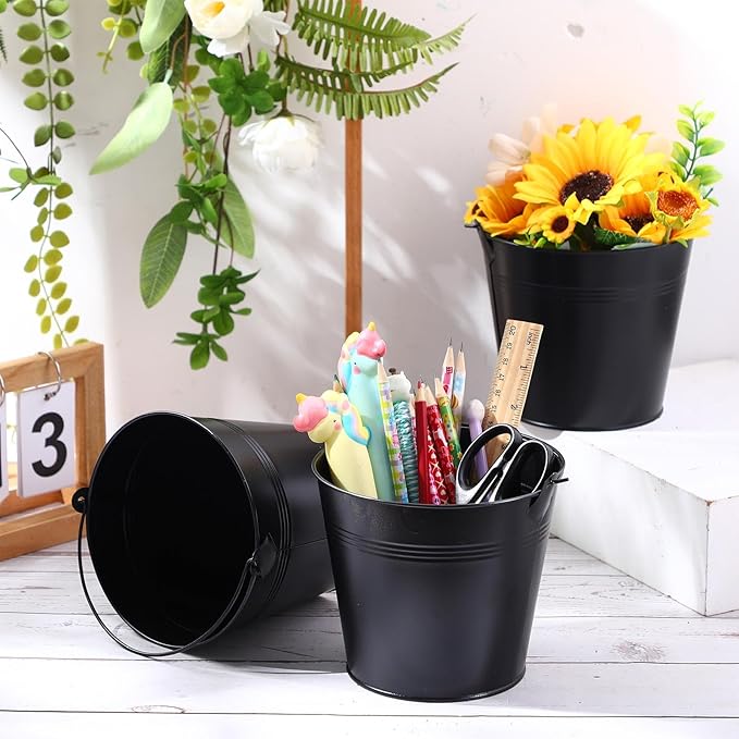 Rtteri 24 Pcs Small Metal Buckets with Handle Mini Buckets Bulk for Easter Party Favors Classroom Pencil Holder Flower Pot Plant Basket for Crafts DIY Projects, 6 x 5 Inch(Black)