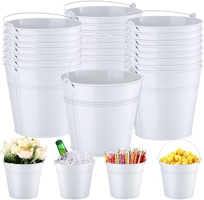 Rtteri 24 Pcs Small Metal Buckets with Handle Mini Buckets Bulk for Easter Party Favors Classroom Pencil Holder Flower Pot Plant Basket for Crafts DIY Projects, 6 x 5 Inch(White)