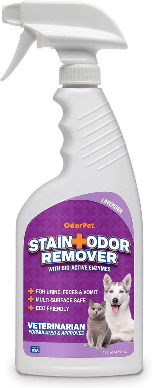 OdorPet Pet Stain Remover and Odor Eliminator - 16 Oz Ready To Use Spray, Non Staining, Professional Strength, Lavender Scent by Alpha Tech Pet