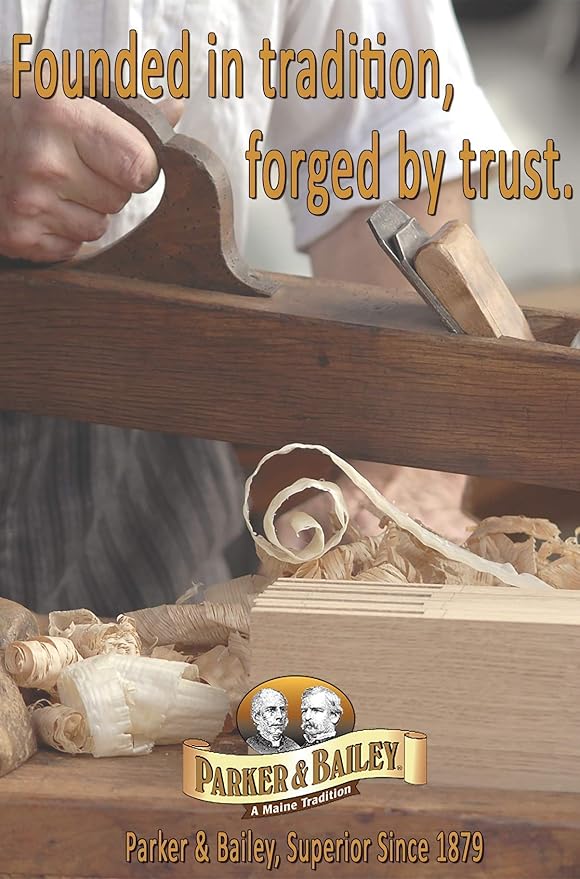 Parker and Bailey Stain Remover- Blood Stain Remover for Carpet, Clothes, Sheets and Mattress - Garment and Fabric Laundry Stain Remover - 16oz