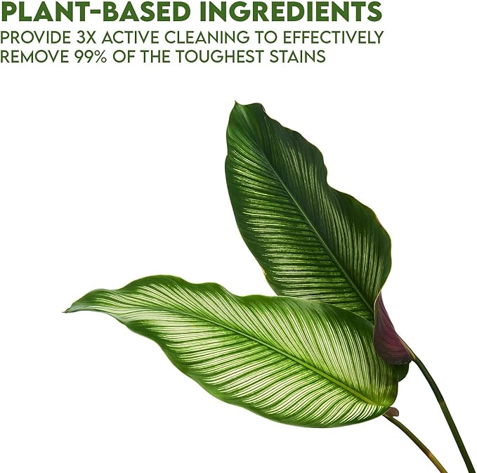 WBM Plant-Based Laundry Detergent Liquid – 34 fl oz, 50 loads total. Eco-friendly formula for powerful cleaning, gentle on fabrics, and safe for the environment