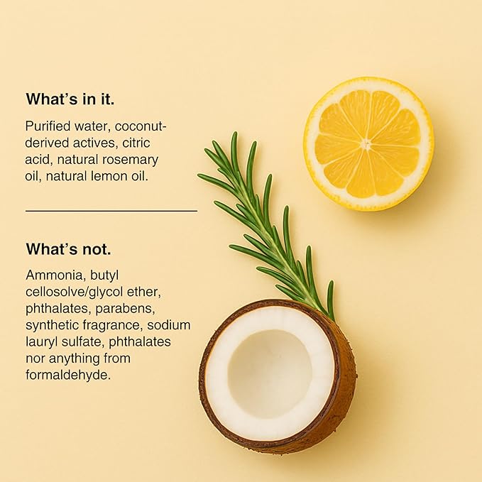 Public Goods Bathroom Cleaner Refill & Glass Spray Bottle | Refill Concentrate for Toilets, Tile, Showers | Cruelty Free | Scented w/Lemon Rosemary Essential Oils | 3 Pack - 24 Oz Diluted