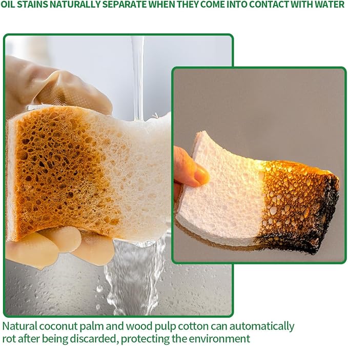 Sponges Kitchen Natural Dish Sponge Plant-Based Biodegradable Compostable Cellulose with Coconut Scrubber Sponge Non Scratch Pack of 12 Eco Friendly Kitchen sponges for Kitchen Dishes