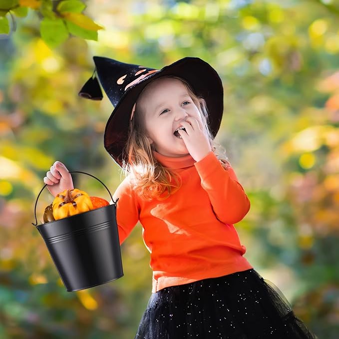 Rtteri 24 Pcs Small Metal Buckets with Handle Mini Buckets Bulk for Easter Party Favors Classroom Pencil Holder Flower Pot Plant Basket for Crafts DIY Projects, 6 x 5 Inch(Black)