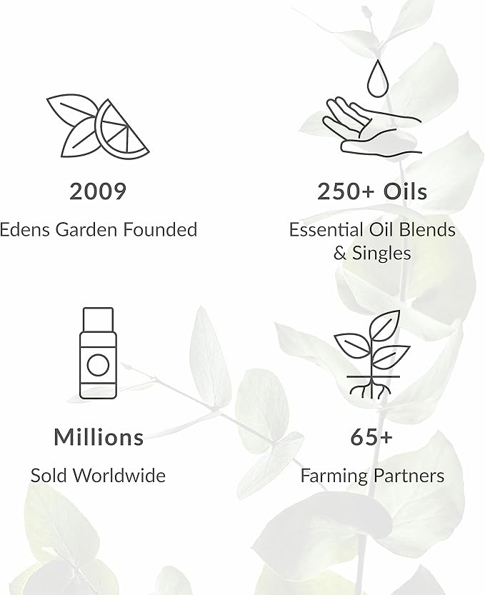 Edens Garden Sparkling Cinnamon Natural Room & Linen Spray – 100% Pure Essential Oil Aromatherapy Mist for Holiday & Christmas Scents – Non-Toxic, Long-Lasting Festive Air Freshener, 4 fl oz (118 ml)