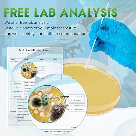 Mold Test Kit for Home with Free Lab Analysis - 5 Simple Detection Tests DIY at Home Mold Air Tester - Test HVAC System,Surface Mold for Home Indoor & Outdoor Air Quality Mold Testing Kits Detector
