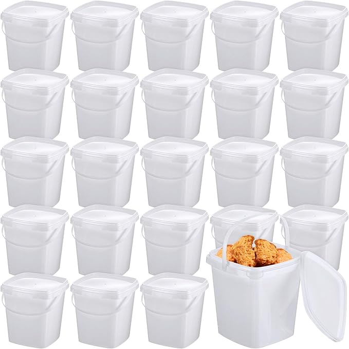 Mifoci 24 Pcs 2 Qt/ 67 Oz/ 2 L Plastic Food Containers Ice Cream Buckets with Lids and Handle Reusable Square Deli Containers Freezer and Microwave Safe for Kitchen Food Drinks Storage