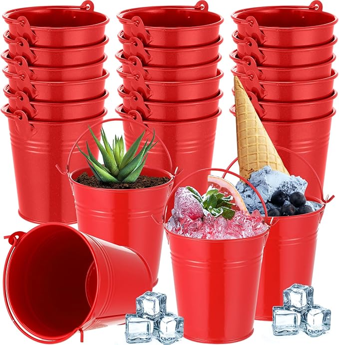 Mini Metal Buckets with Handles Galvanized Buckets 3.15 Inch Mini Container Pails for Metal Tin Plant Holder Pail for Wedding Decoration Party Favor(Red,28 Pcs)