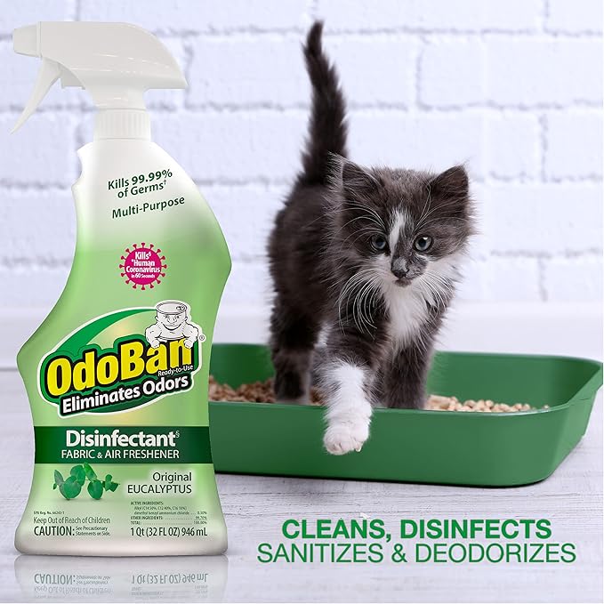 OdoBan Ready-to-Use Disinfectant and Odor Eliminator, Set of 3 Spray Bottles, 32 Ounces Each, Original Eucalyptus Scent