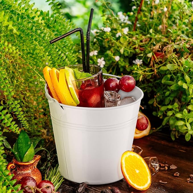 Rtteri 24 Pcs Small Metal Buckets with Handle Mini Buckets Bulk for Easter Party Favors Classroom Pencil Holder Flower Pot Plant Basket for Crafts DIY Projects, 6 x 5 Inch(White)