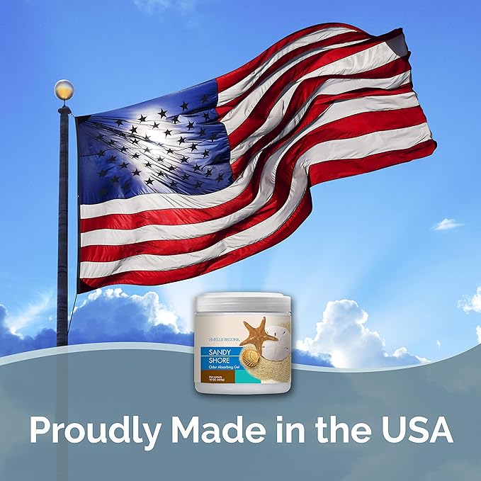 SMELLS BEGONE Air Freshener Odor Absorber Gel - 15 oz, Pack of 2 - Absorbs and Eliminates Odor in Pet Areas, Bathrooms, Cars, & Boats - Made with Essential Oils - Sandy Shore Scent