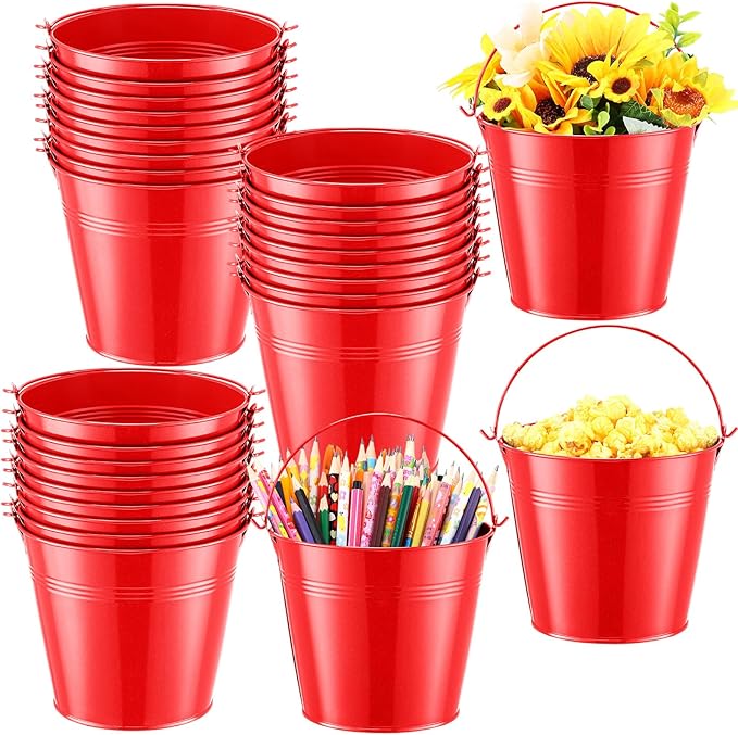 Rtteri 24 Pcs Small Metal Buckets with Handle Mini Buckets Bulk for Easter Party Favors Classroom Pencil Holder Flower Pot Plant Basket for Crafts DIY Projects, 6 x 5 Inch(Red)