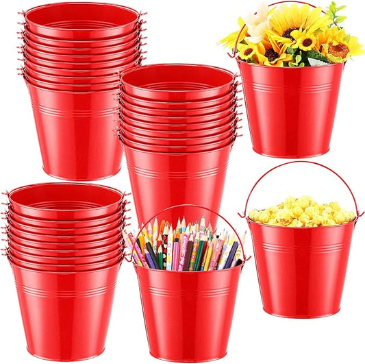 Rtteri 24 Pcs Small Metal Buckets with Handle Mini Buckets Bulk for Easter Party Favors Classroom Pencil Holder Flower Pot Plant Basket for Crafts DIY Projects, 6 x 5 Inch(Red)