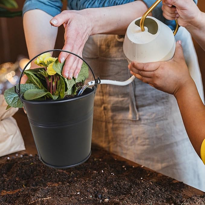 24 Packs Mini Metal Buckets with Handles,5 x 3.5 x 4.7 Inch Black Mini Iron Pail Small Galvanized Tin Pails for Events, Classroom, School Storage, Succulents, Rustic Home Decor