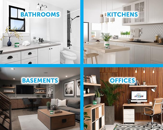 Bright Air 14 oz. Super Odor Eliminator, For Medium-Size Spaces, Winter Pine & Berries Scent, Case of 6, Odor Eliminator & Air Freshener, Natural Essential Oils, Lasts Up to 90 Days Each