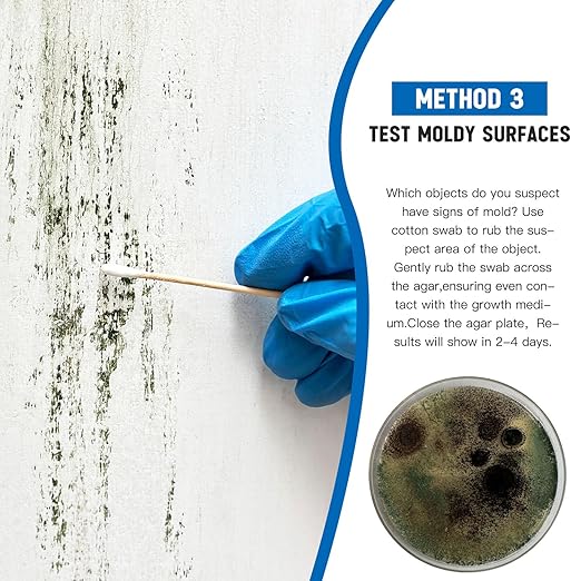 Mold Test Kit for Home -DIY Mold Testing Kit with 12 Individual Tests-Black Mold Detector-Indoor Air Quality Tester-Mold Identification Guide-Free Lab Analysis-Fast and Reliable Mold Detector at Home