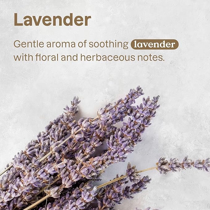 ATTITUDE All Surface Cleaner for Pets, Plant and Mineral-Based Ingredients, Vegan and Cruelty-free, Lavender, 16 Fl Oz