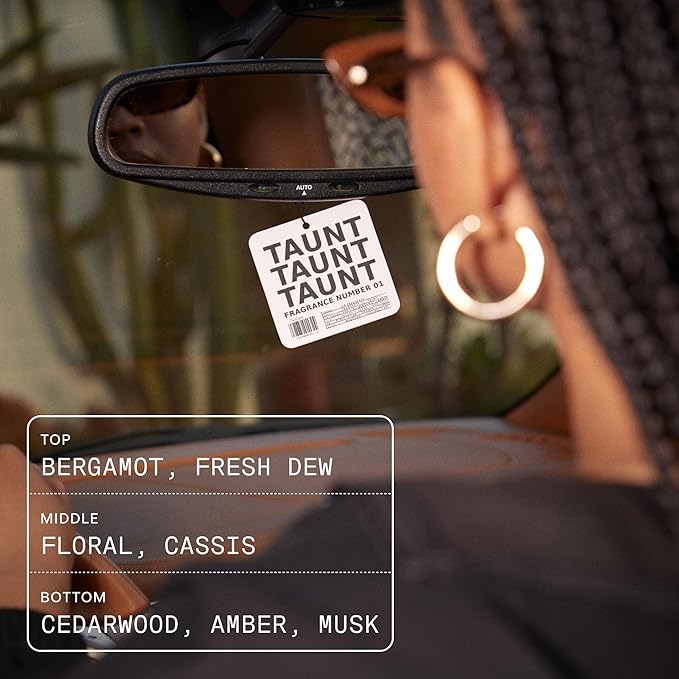 DedCool Air Freshener | 01 Taunt | For Cars, Closets & Drawers | Hanging Odor Eliminator | Long-Lasting Scent Infused with Essential Oils | Vegan, Non-Toxic, Cruelty-Free Fragrance For All