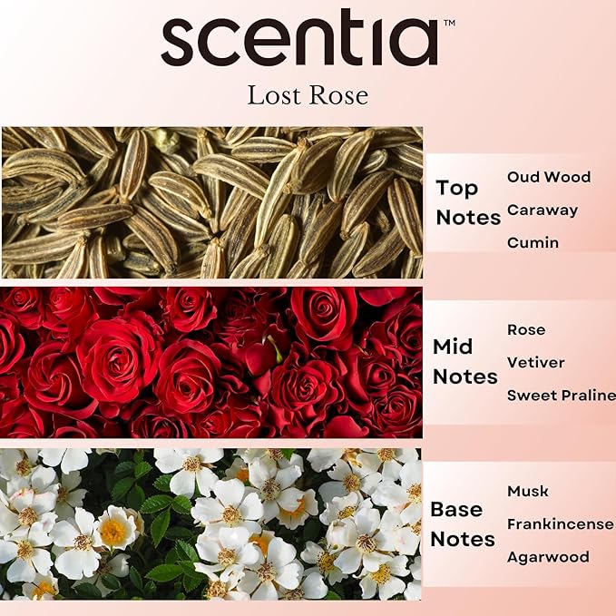 Scentia Hotel Diffuser Oil Inspired by Fairmont Hotel Scent - 20 mL 0.67 fl oz - Fragrance Oil Blend Rose, Oud Wood & Clove Notes for Aromatherapy Diffusers and Humidifiers - Lost Rose