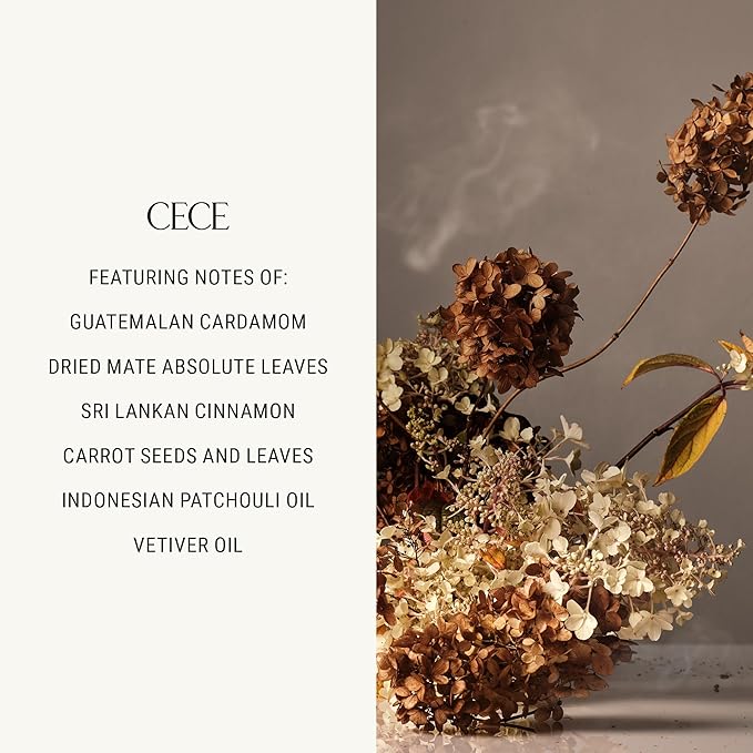 Homecourt Dish Soap, Dishwashing Liquid with Clean Ingredients, Non-Toxic & Skin-Safe, Safe for People & Pets, Cece, 16 oz