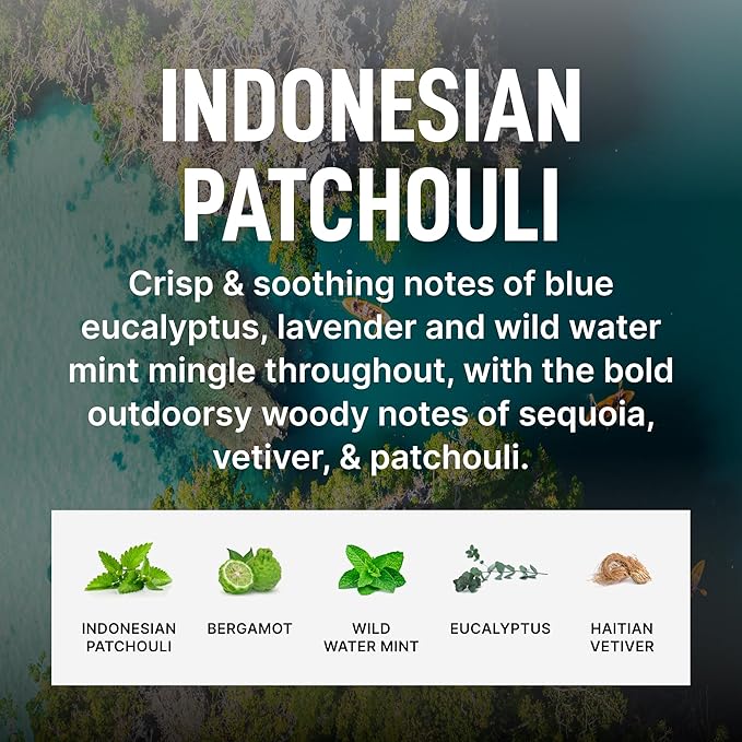 Laundry Sauce - Luxury Scented Laundry Detergent Pods & Scent Booster Bundle (Indonesian Patchouli), Premium Laundry Washing Pods with High-End, Sophisticated Fragrances - Dye Free & HE Compatible