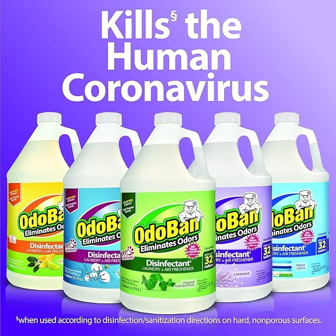 OdoBan Disinfectant Concentrate and Odor Eliminator, Made in the USA, Original Eucalyptus, Lavender and Cotton Breeze Scents, 3 Gallons