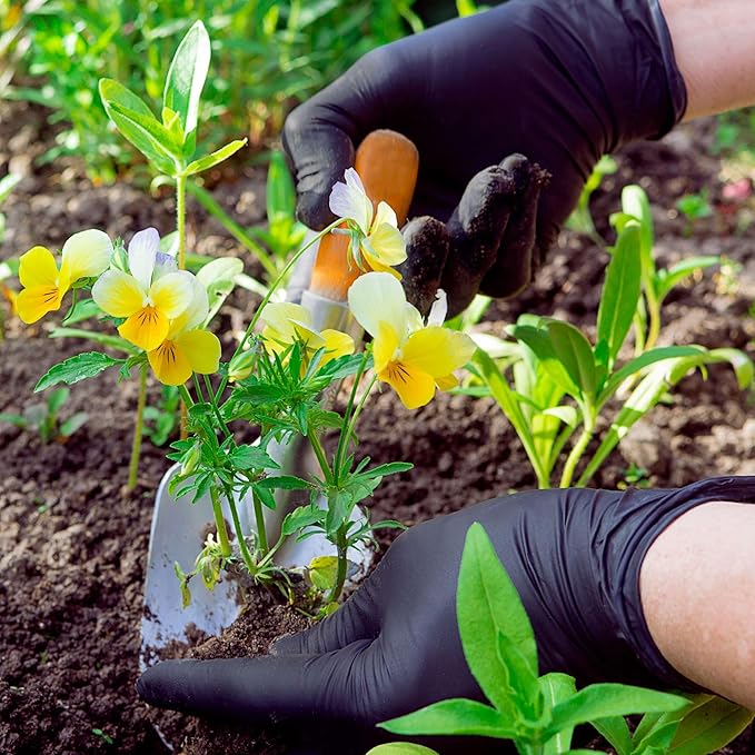 FifthPulse [150 Count] Biodegradable Gloves - Black Nitrile Disposable Gloves - Medical Exam and Food Safe - Latex Free