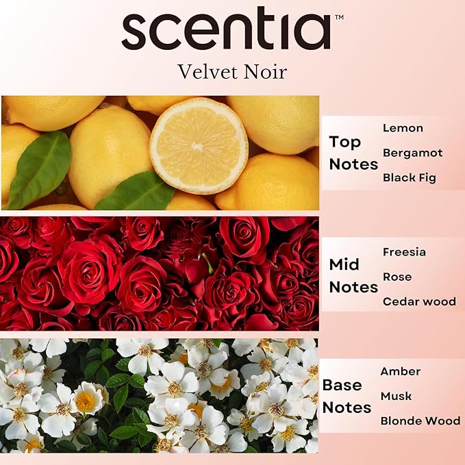 Scentia Noir Mystique – Hotel-Inspired Diffuser Oil, 20ml (0.67 fl oz) | Essential Oil Blend of Rose, Bergamot, Lemon & Musk | Luxury Aroma for Aromatherapy Diffusers & Humidifiers
