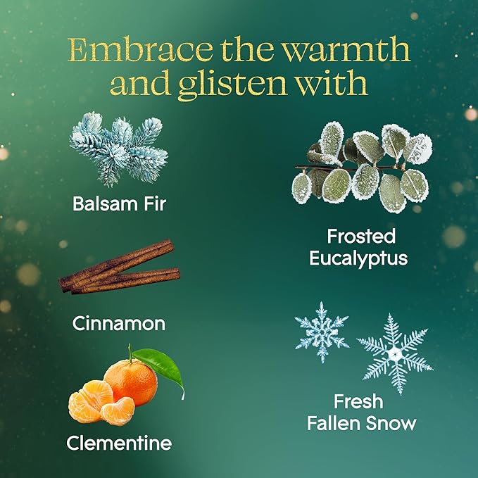 Glade PlugIns Refills Air Freshener, Balsam & Spruce and Bergamot & Eucalyptus, Scented and Essential Oils for Home and Bathroom, 0.67 Fl Oz, 5 Count