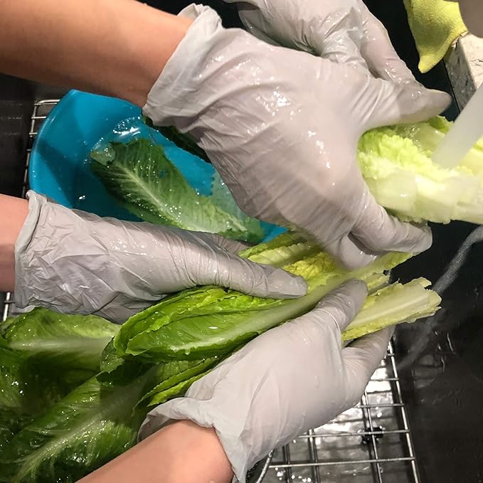 Disposable Gloves - Food Safe, Lite Duty Nitrile Gloves, Lite & Tough, (250 Count)