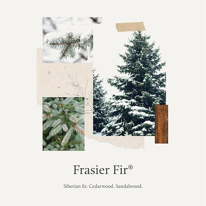 Thymes Frasier Fir All-Purpose Cleaner - Biodegradable Cleaner with Natural Essential Oils - Household Spray for Cleaning Bathrooms, Kitchens, Counters, and Other Surfaces (16 fl oz)