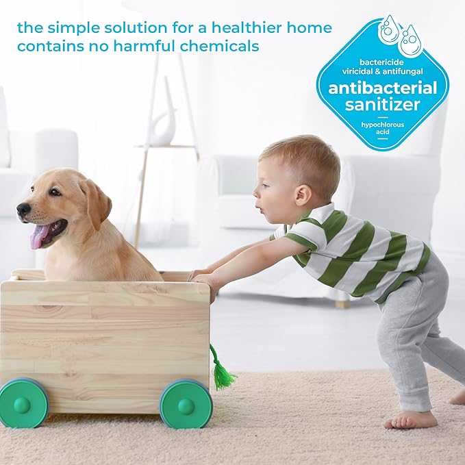 BRIOTECH Sanitizer Disinfectant Hypochlorous Spray, Kill 99.99% of Viruses & Bacteria, Control Mold, Eliminate Odor, Gentle for Nursery & Play Rooms, Food Contact Surface Sanitizer, 4 fl oz