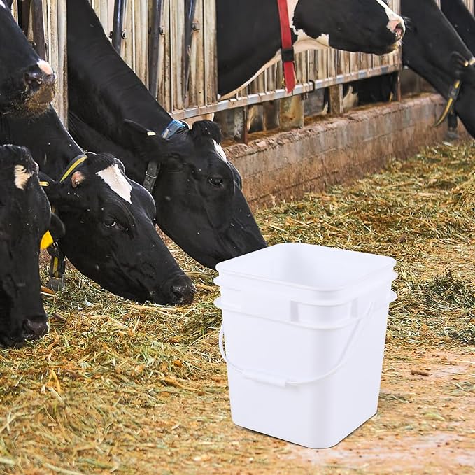 4 Pack Food Plastic Utility Pail with Lid and Handle, 3 Gallon Square Buckets for Storage Food, White