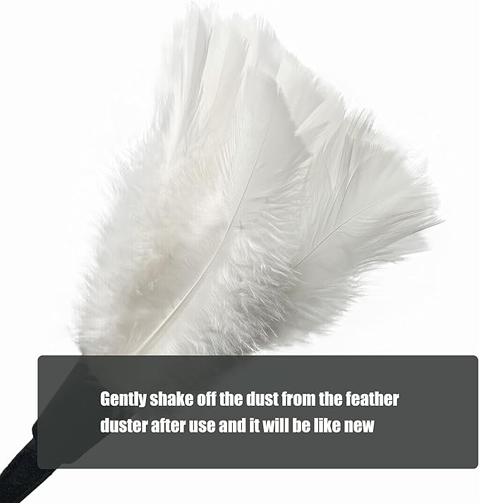 14 Inch Turkey Feather Duster – Lightweight Cleaning Brush for Home, Office, Furniture, Blinds, and Electronics (White)