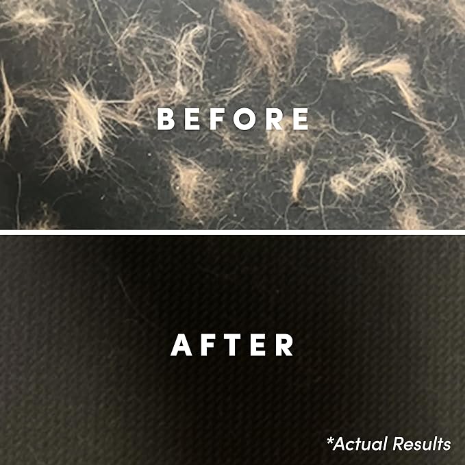 Clean Revolution Pet Hair Remover Laundry System 2-pack: Laundry Detergent + Fabric Softener with HairLift Technology, Fragrance-Free, 6 Natural Enzymes, Removes Pet Hair, Stains & Odors, 40 Oz Each