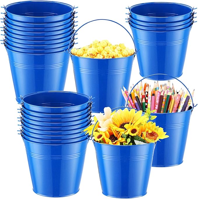 Rtteri 24 Pcs Small Metal Buckets with Handle Mini Buckets Bulk for Easter Party Favors Classroom Pencil Holder Flower Pot Plant Basket for Crafts DIY Projects, 6 x 5 Inch(Dark Blue)