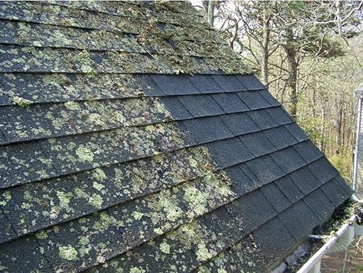 Wash Safe™ ROOF WASH Eco-Safe and Organic Roof Cleaner, 3 lb. | Clear, Bleach-Free Concentrate | Clean Up to 3,000 sq. ft. of Asphalt, Wood, Slate and Ceramic Shingles or Tiles