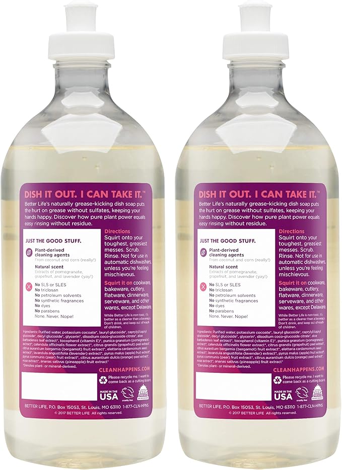 Better Life Dish Soap - Liquid Dishwashing Soap with Vitamin E and Aloe for Home & Kitchen Sink - No Gloves Required Kitchen Soap for Sensitive Skin - 22oz (Pack of 2) Currant and Citrus
