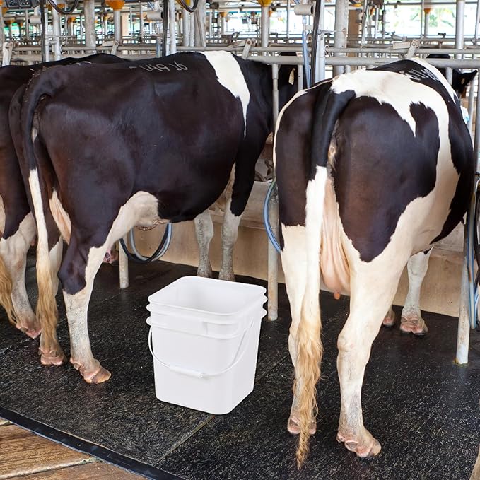 Teyyvn 4 Pcs 3 Gallon Square Bucket with Lid and Plastic Handles, White Plastic Utility Bucket Pail with Lid for Food Storage