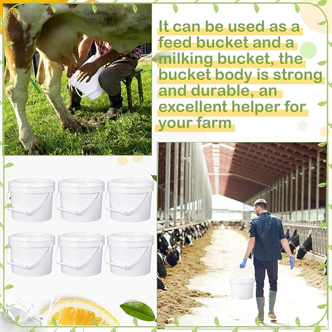 Leinuosen 8 Pcs Plastic Bucket with Handle and Lid Durable Heavy Duty Food Safe Bucket Pail Container for Multipurpose Storage Paint Art Crafts Projects, BPA Free(3 Gallon,White)