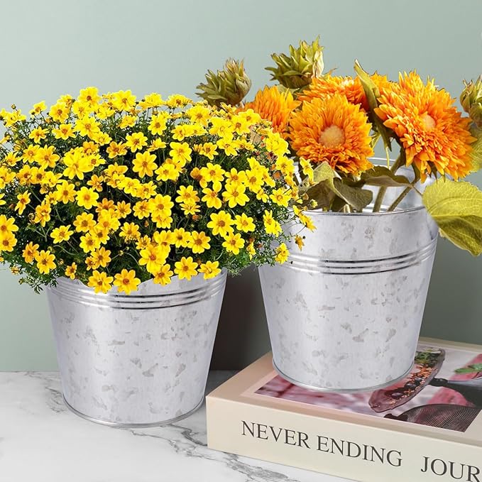 20 Pack 4.5 x 5.1 x 2.6 inch Metal Mini Buckets, Elegant Galvanized with Handles, Tin, Small, Mini Metal Pail for Party Favors, Crafts, Garden & Beach