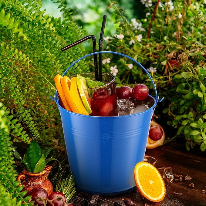 Rtteri 24 Pcs Small Metal Buckets with Handle Mini Buckets Bulk for Easter Party Favors Classroom Pencil Holder Flower Pot Plant Basket for Crafts DIY Projects, 6 x 5 Inch(Dark Blue)