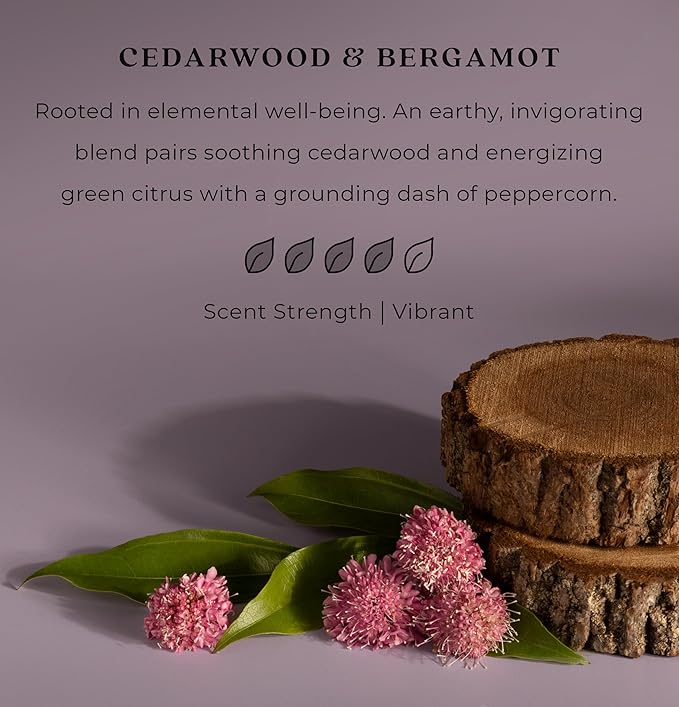 Enviroscent Non-Toxic Car Air Freshener | Natural Car Air Freshener | Essential Oil Diffuser | Car Scent Lasting Over 480 Days | 8 Packs of 2 Hanging Auto Stix (Cedarwood & Bergamot)