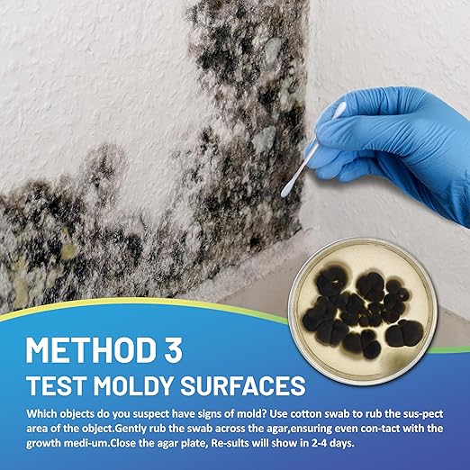 Mold Test Kit for Home,7 Simple Detection Tests,Test HVAC System,Home Surfaces, Indoor Air Quality Testing,DIY Mold Detector for Home,Includes Detailed Mold Identification Guide,Black Mold Testing kit