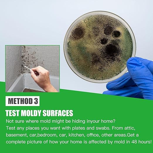 Mold Test Kit for Home Within 12 Individual Tests,DIY Detector at Home, Surface Mold,HVAC,Indoor Air Quality Testing Kits,Black Mold Testing,Includes Detailed Mold Identification Guide and Free Lab