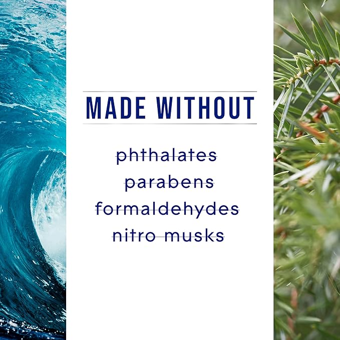 Glade PlugIns Refills Air Freshener, Sea Mist & Cypress, Scented and Essential Oils for Home and Bathroom, 0.67 Fl Oz, 10 Count