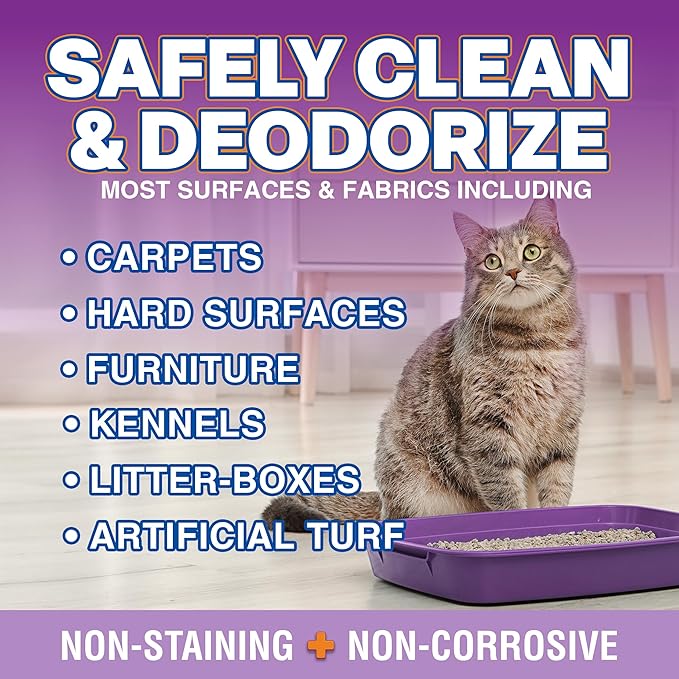 OdorPet Pet Stain Remover and Odor Eliminator - 16 Oz Ready To Use Spray, Non Staining, Professional Strength, Lavender Scent by Alpha Tech Pet