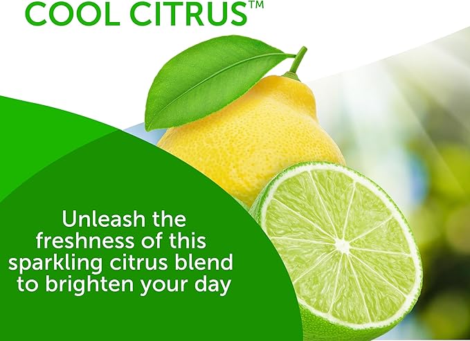 Bright Air 14 oz. Super Odor Eliminator, for Medium-Size Spaces, Cool Citrus Scent, Case of 6, Air Freshener, Natural Essential Oils, Lasts Up to 90 Days Each