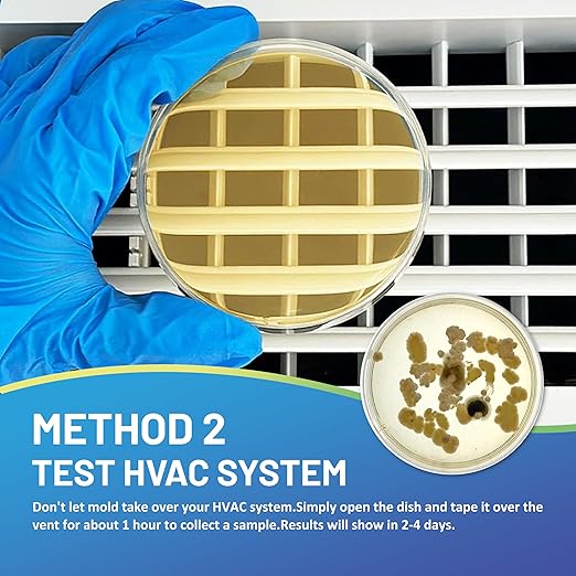 Mold Test Kit for Home,7 Simple Detection Tests,Test HVAC System,Home Surfaces, Indoor Air Quality Testing,DIY Mold Detector for Home,Includes Detailed Mold Identification Guide,Black Mold Testing kit
